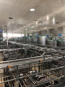 蒙牛工廠迎全球GDP代表參觀，以企業智慧夯實合作共贏之基